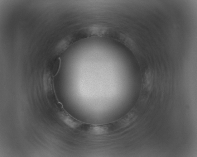 X0000053070522200507111221