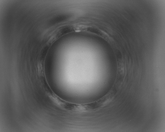 X0000053070523200507111221