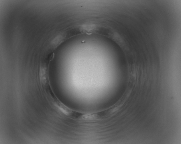 X0000053070526200507111221