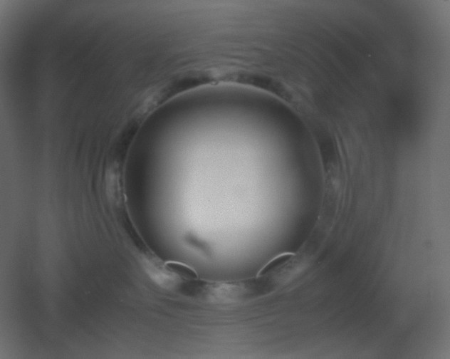 X0000053070527200507111221