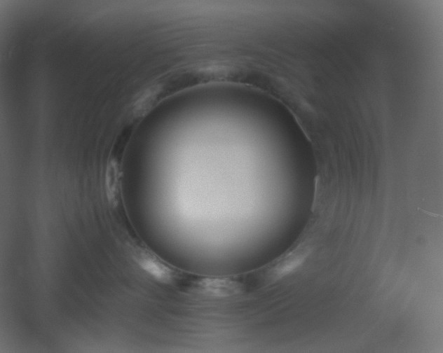 X0000053070528200507111221