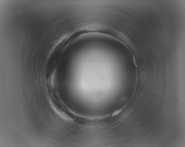 X0000053070530200507111221