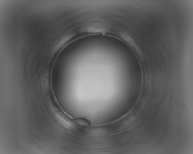 X0000053070533200507111221