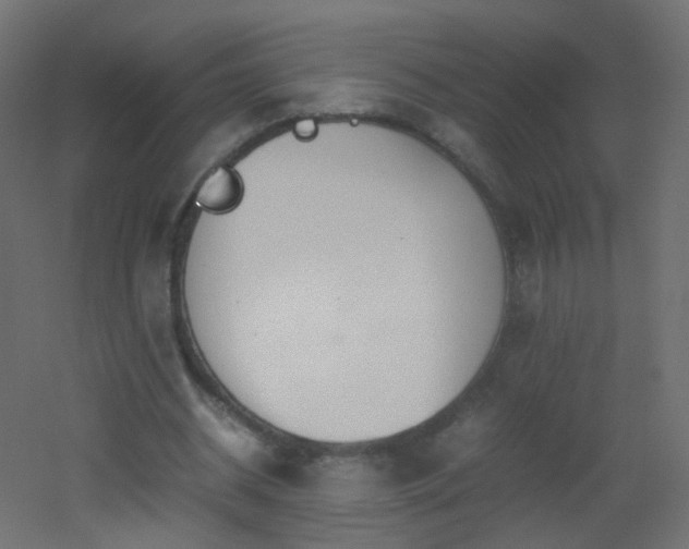 X0000053070534200507111221