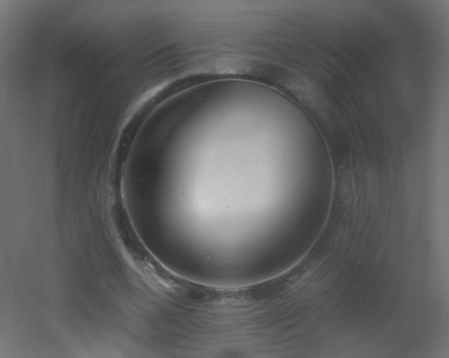 X0000053070536200507111221