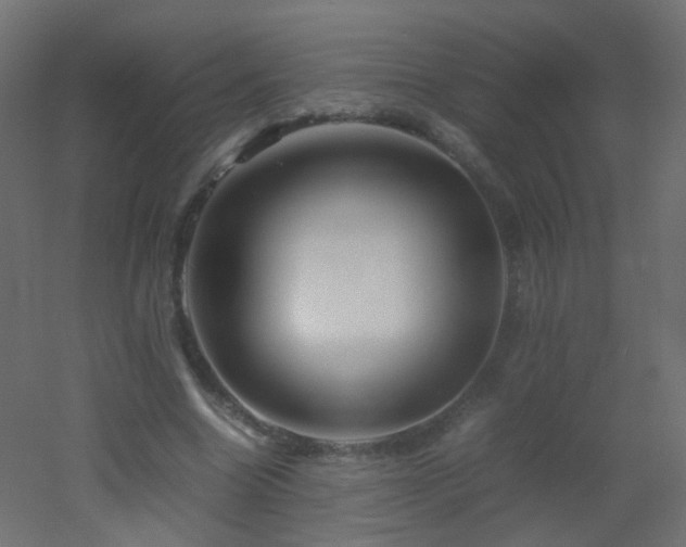 X0000053070538200507111221