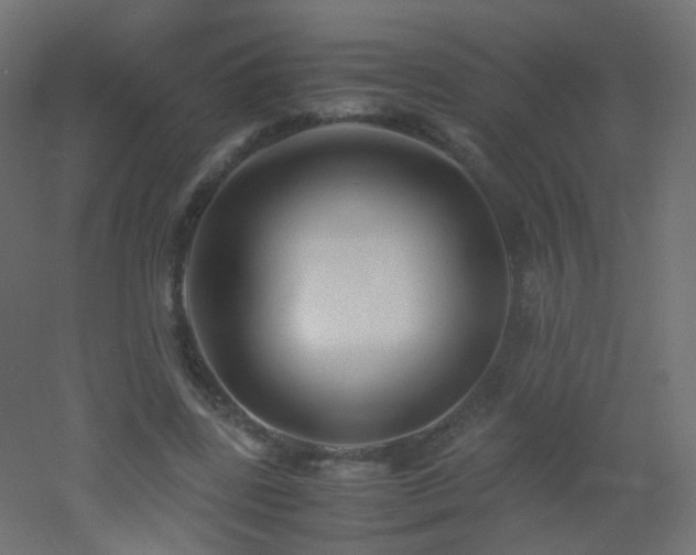 X0000053070539200507111221