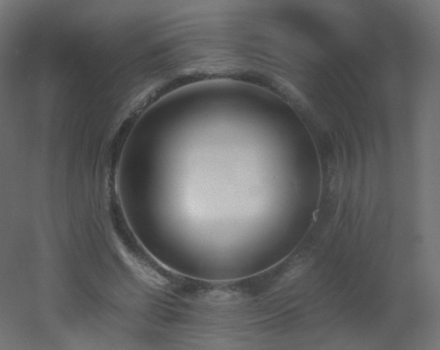 X0000053070542200507111221