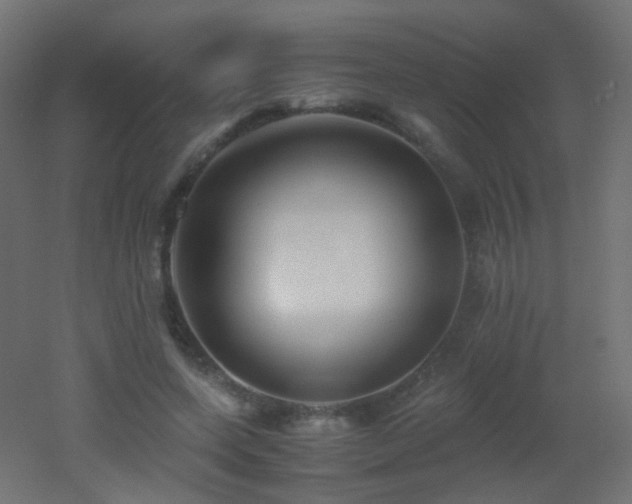 X0000053070543200507111221