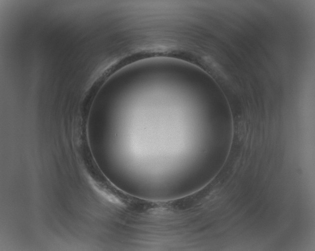 X0000053070544200507111221