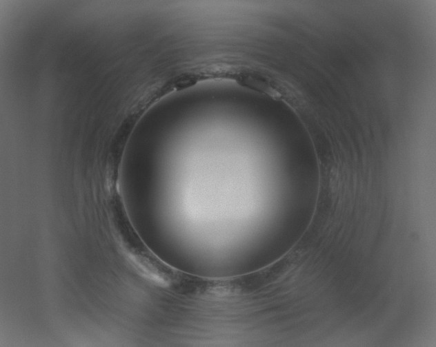 X0000053070546200507111221