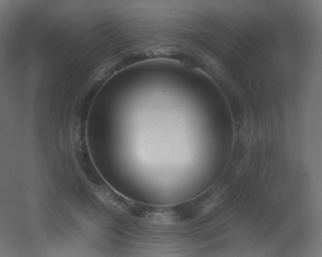 X0000053070548200507111221