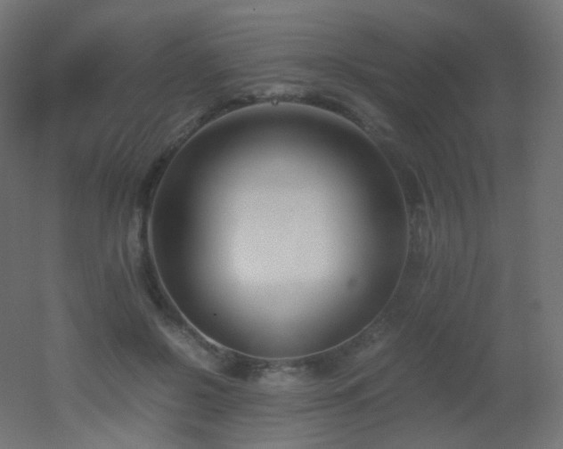 X0000053070550200507111221