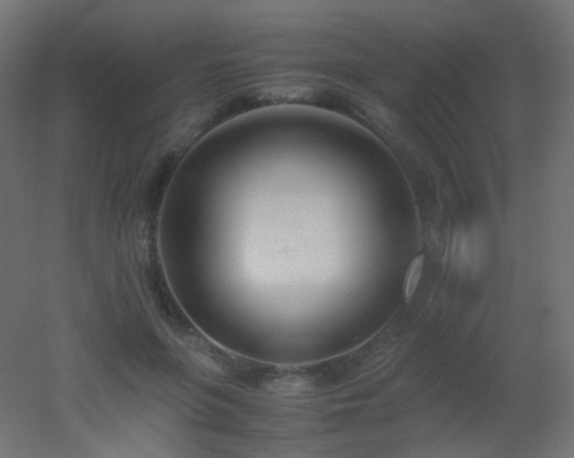 X0000053070551200507111221