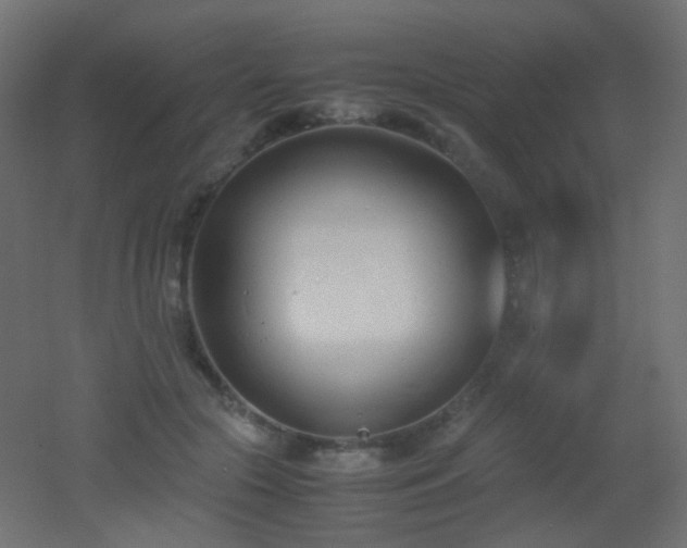 X0000053070553200507111221