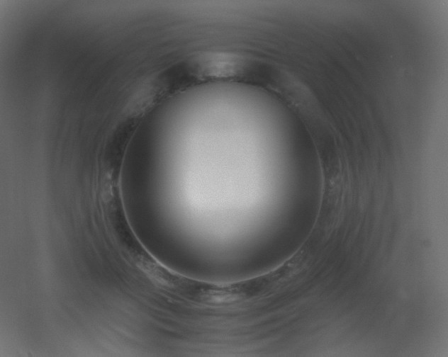 X0000053070555200507111221