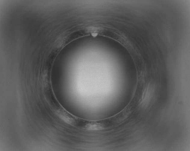 X0000053070557200507111221