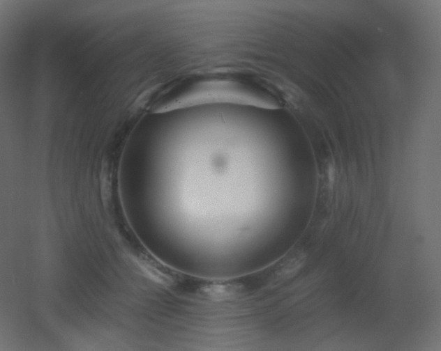 X0000053070558200507111221