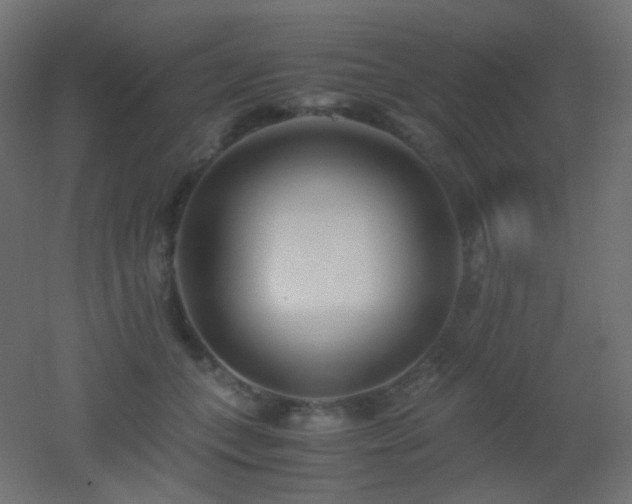 X0000053070559200507111221