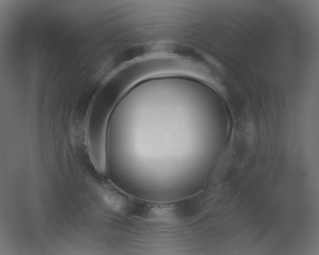 X0000053070560200507111221