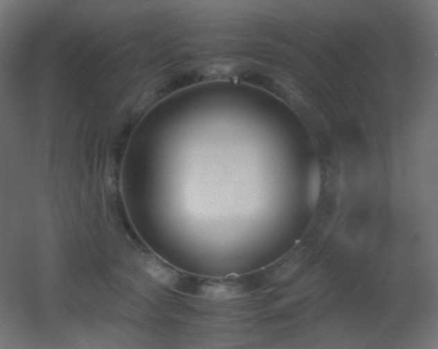 X0000053070561200507111221