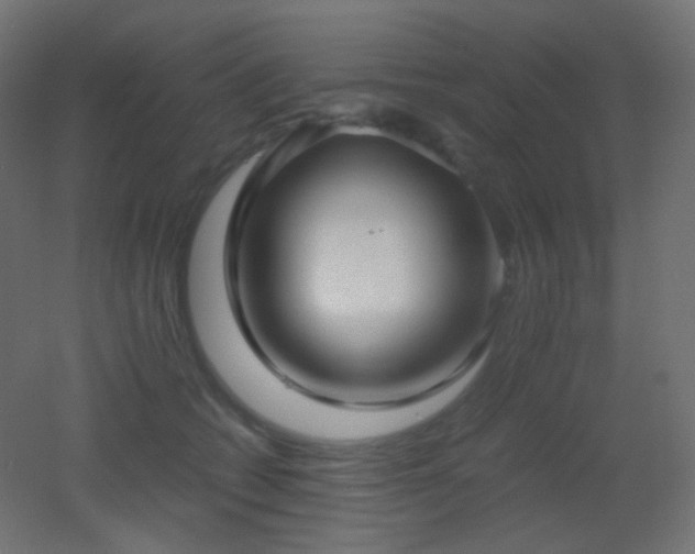X0000053070562200507111221
