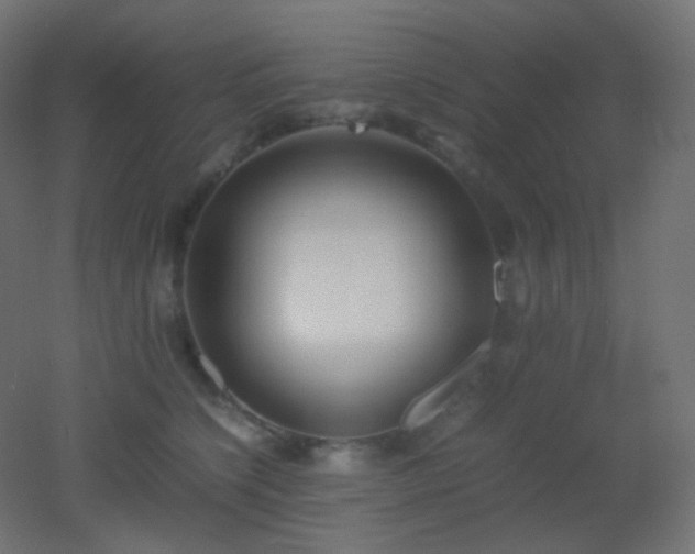 X0000053070564200507111221