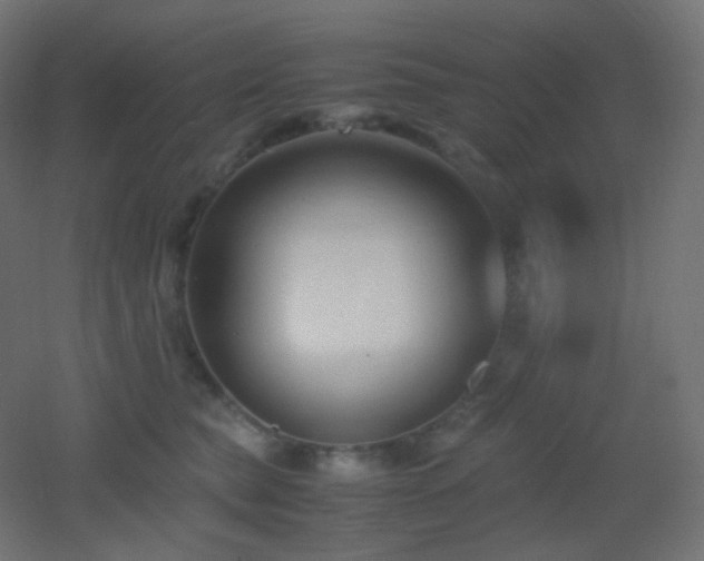 X0000053070565200507111221