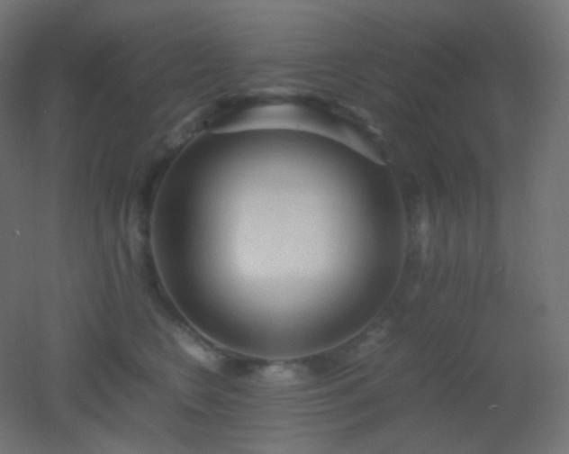 X0000053070566200507111221