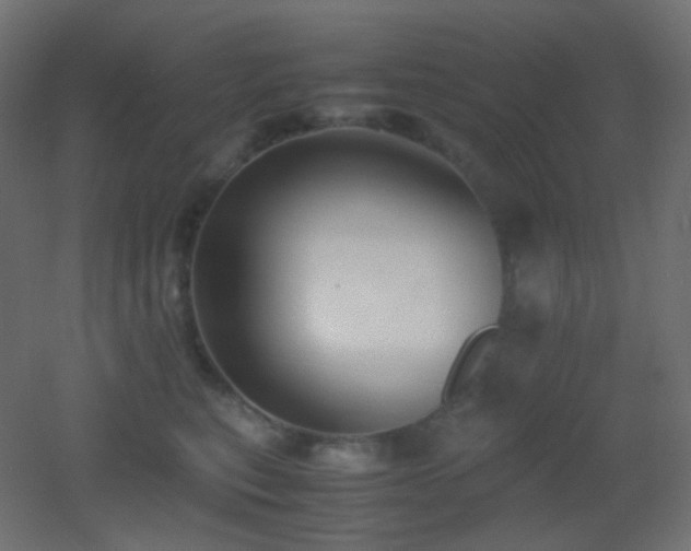 X0000053070567200507111221
