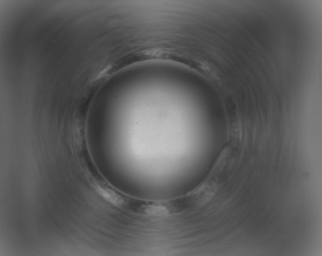 X0000053070572200507111221