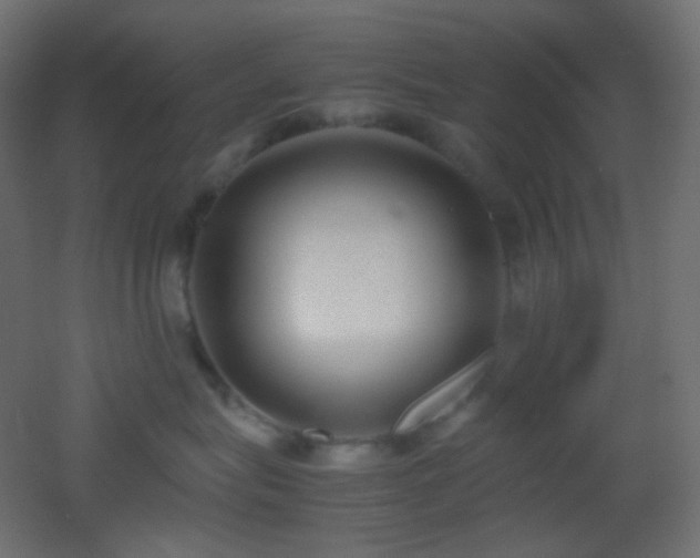 X0000053070575200507111221