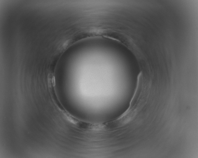 X0000053070576200507111221
