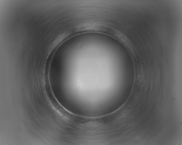 X0000053070578200507111220