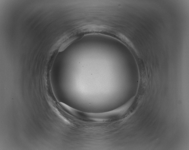 X0000053070581200507111220