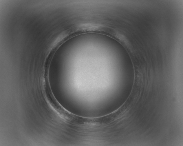 X0000053070582200507111220