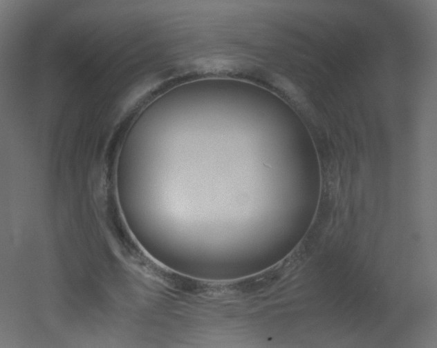 X0000053070583200507111220