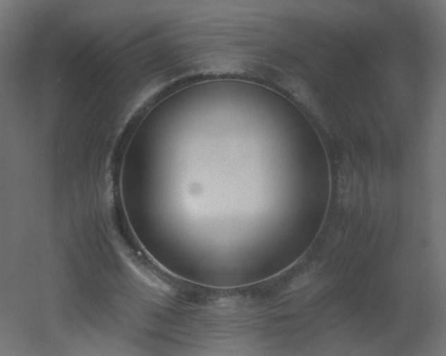 X0000053070584200507111220