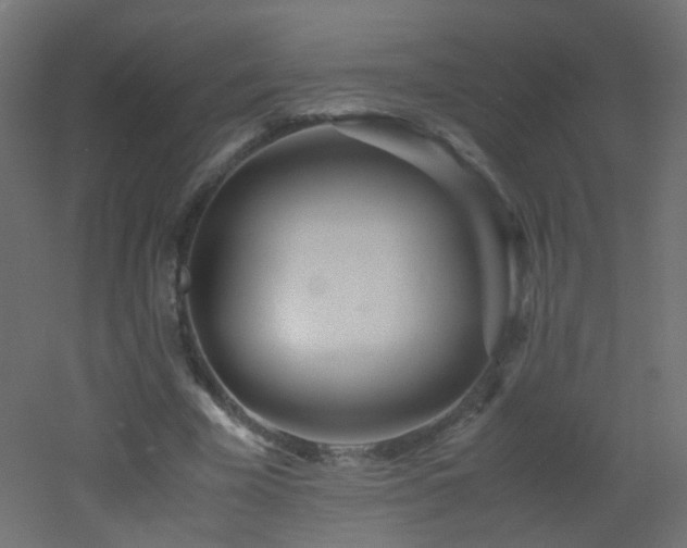 X0000053070585200507111220