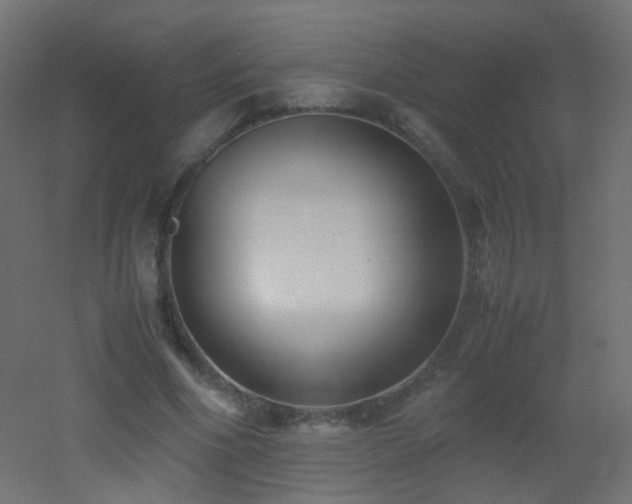 X0000053070586200507111220