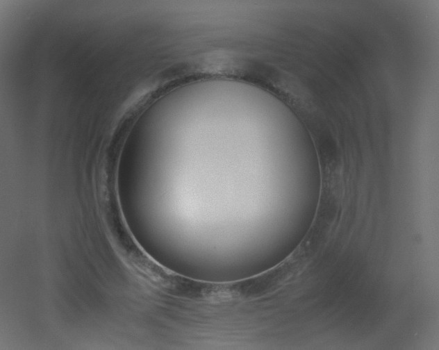 X0000053070587200507111220