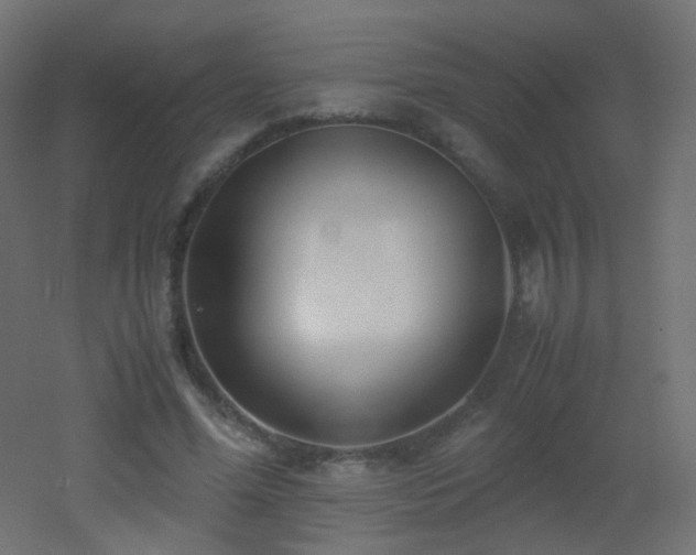 X0000053070588200507111220