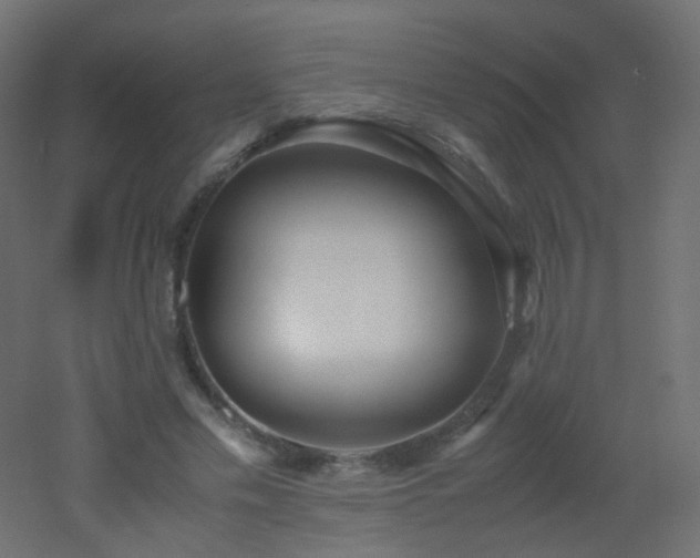 X0000053070589200507111220