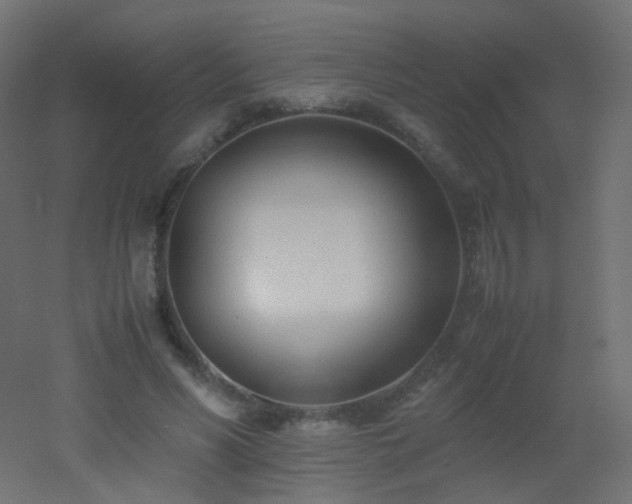 X0000053070590200507111220