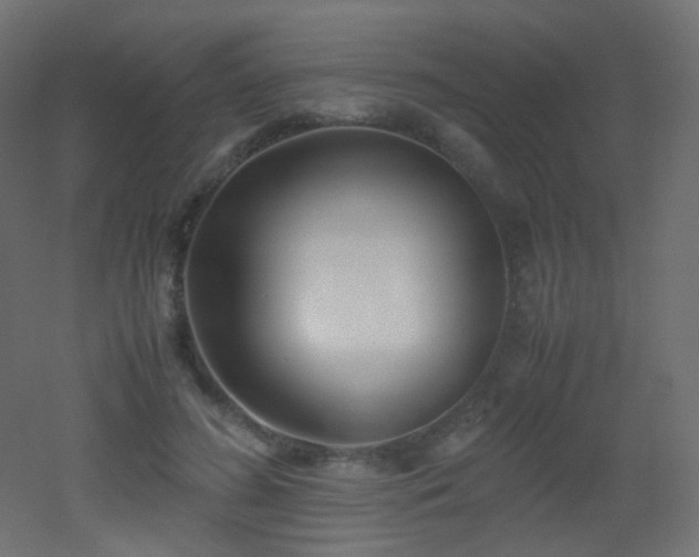 X0000053070596200507111220