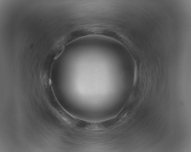 X0000053070597200507111220