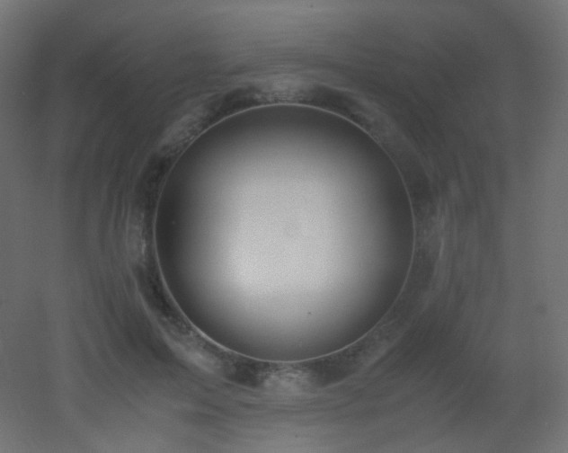 X0000053070599200507111220