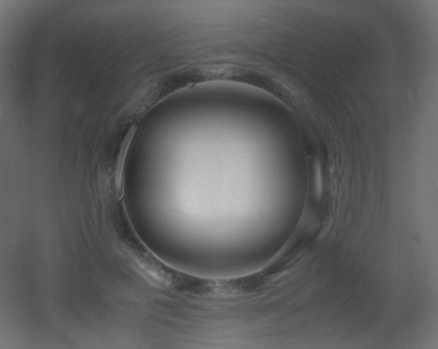 X0000053070601200507111220