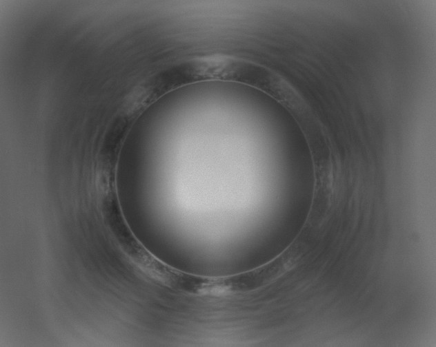 X0000053070602200507111220