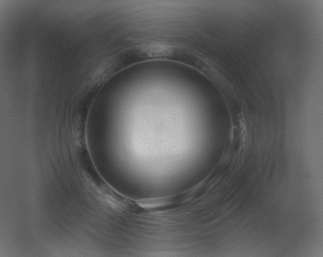 X0000053070604200507111220